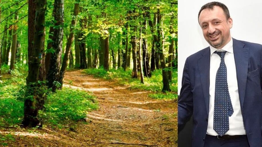 Federlegno e Uncem: insieme per il rilancio dell'economia del bosco