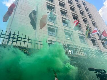 Manifestanti pro Palestina tolgono la bandiera di Israele dal palazzo della Fao 3