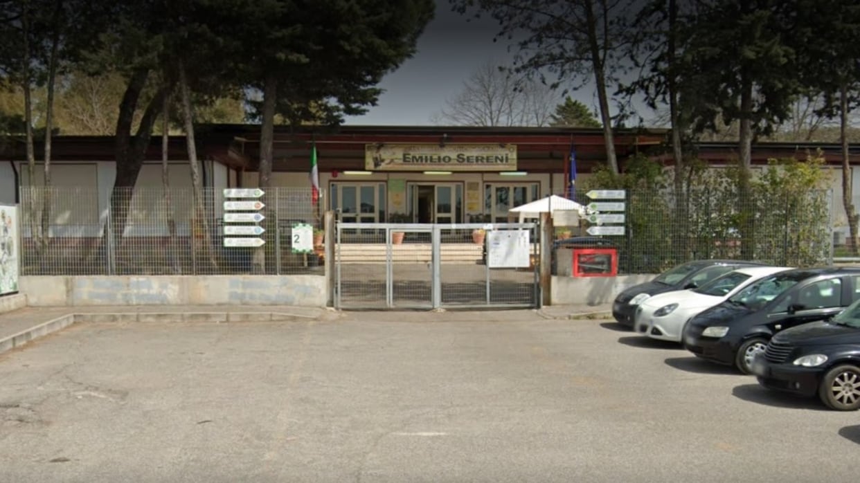Mucche uccise a colpi di freccia nella scuola: raid durante la notte a Roma