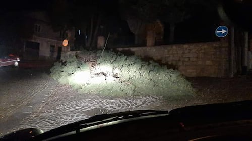 Tetti crollati, alberi sradicati e decine di feriti: il bollettino "di guerra" del vento 10
