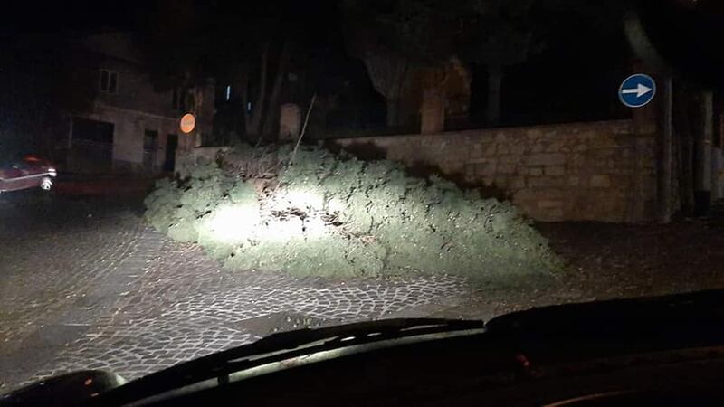 Tetti crollati, alberi sradicati e decine di feriti: il bollettino "di guerra" del vento 10