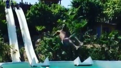 Balotelli, tuffo pericoloso in piscina: "Bambini, voi non fatelo"