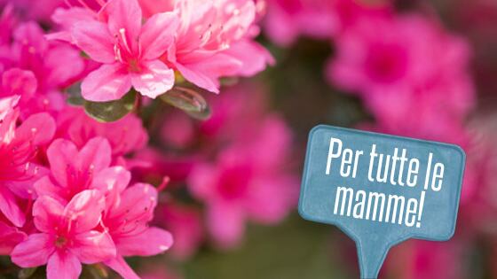 La scuola elementare che cambia nome alla festa della mamma