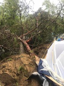Veneto colpito dal maltempo: alberi sradicati in un campeggio 10