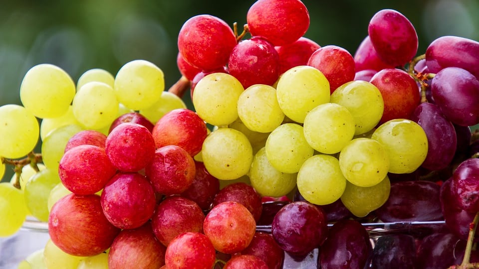 Tutti i benefici dell'uva: il frutto dell'autunno complice del benessere