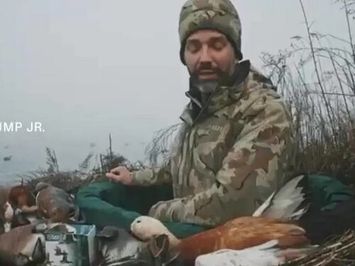 Trump jr e la caccia in una riserva della laguna di Venezia: la procura apre un'inchiesta