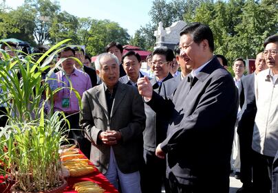 Xi Jinping