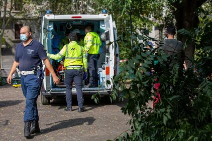 Milano, ramo si spezza e travolge una donna: ricoverata in codice rosso 5