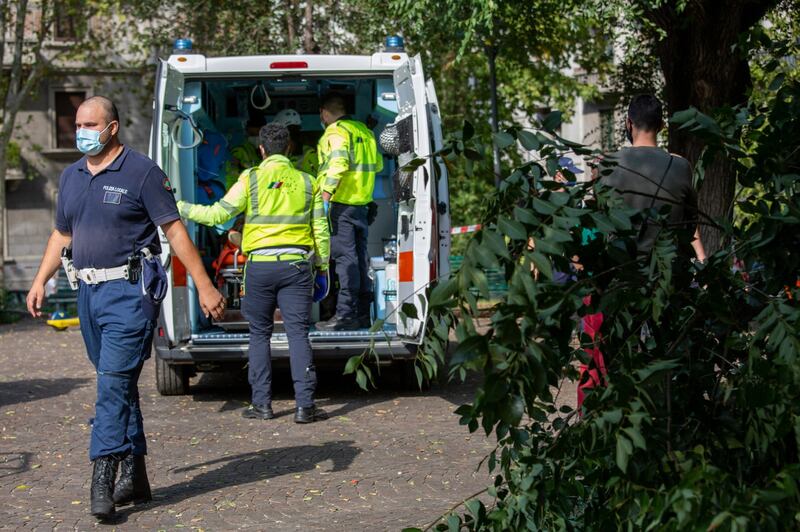 Milano, ramo si spezza e travolge una donna: ricoverata in codice rosso 5