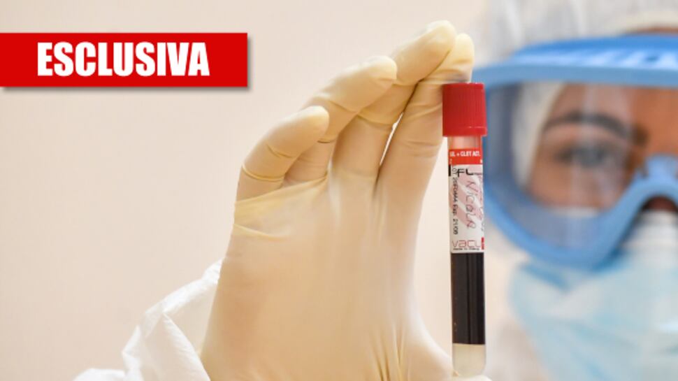 Virus, gli strani divieti dell'Oms: "La clorochina? Più sicura di quanto si dica"