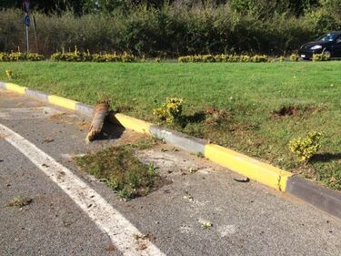 Pirata della strada a Ladispoli: la scena dell'incidente 3