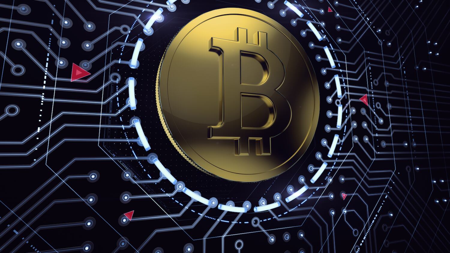 Trader di bitcoin truffato per 100mila euro
