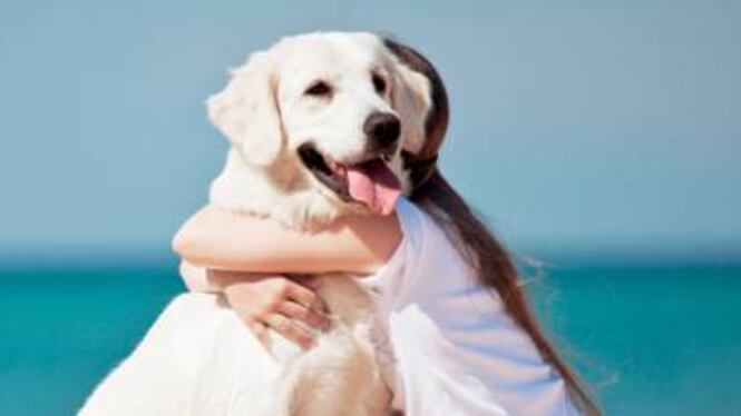 Hai animali domestici? Avrai successo nella vita