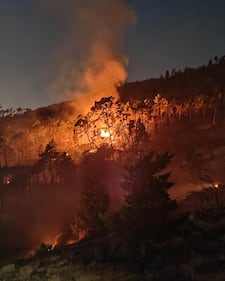 Incendio di Prato, vigili del fuoco e squadre antincendio all'opera 1