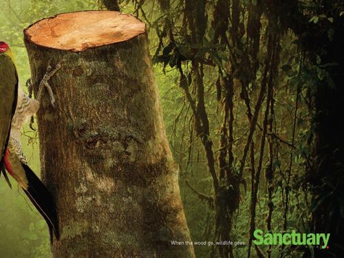 La campagna choc per salvare animali e piante
