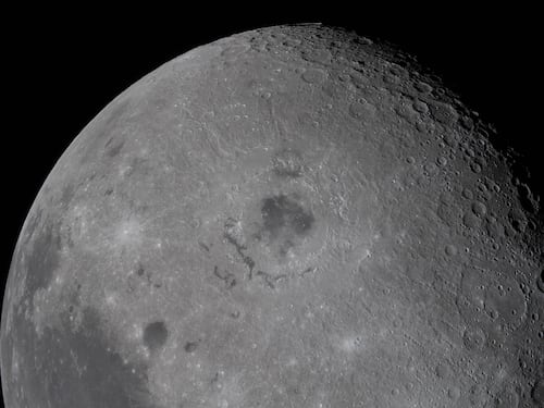 Si riuniscono a Firenze per salvare la Luna dai nostri rifiuti. Non sto scherzando