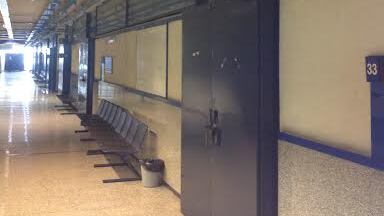 Cani psicologi in Tribunale per aiutare i testimoni