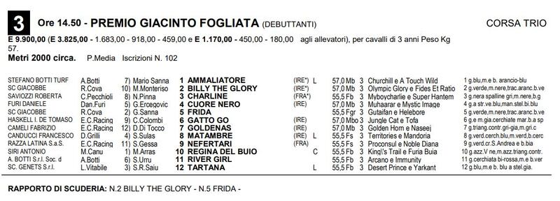 Premio Giacinto Fogliata