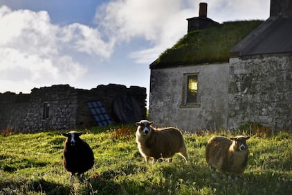 Foula, una splendida isola inglese per solo 30 abitanti 42