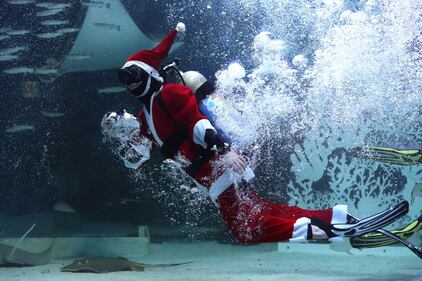 Babbo Natale nuota coi pesci 10