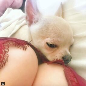 Naike Rivelli, scatti sexy con la mamma 6