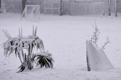 Maltempo, Roma è sotto la neve 5