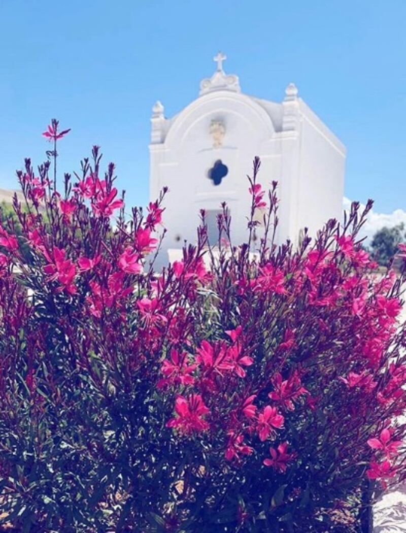 Raoul Bova apre una masseria in Puglia  3