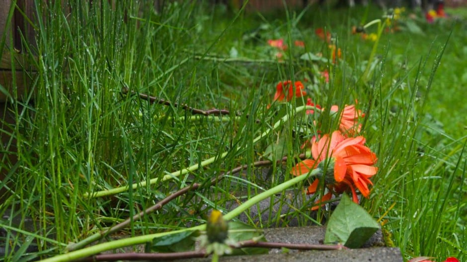 Sotto il prato, l’orrore: Chiara Petrolini e i figli sepolti nel giardino di casa