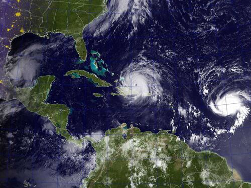 Il misterioso mostro marino trovato dopo l'uragano Harvey