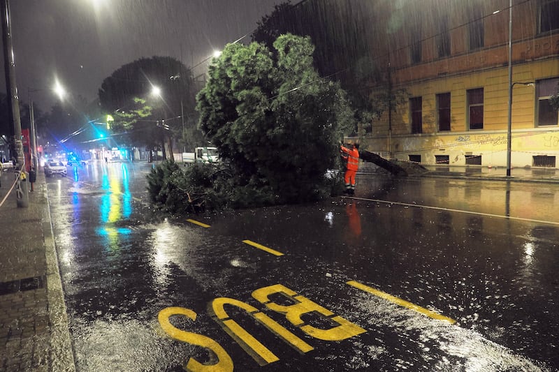 Maltempo a Bologna: alberi caduti, allagamenti ed esondazioni 2