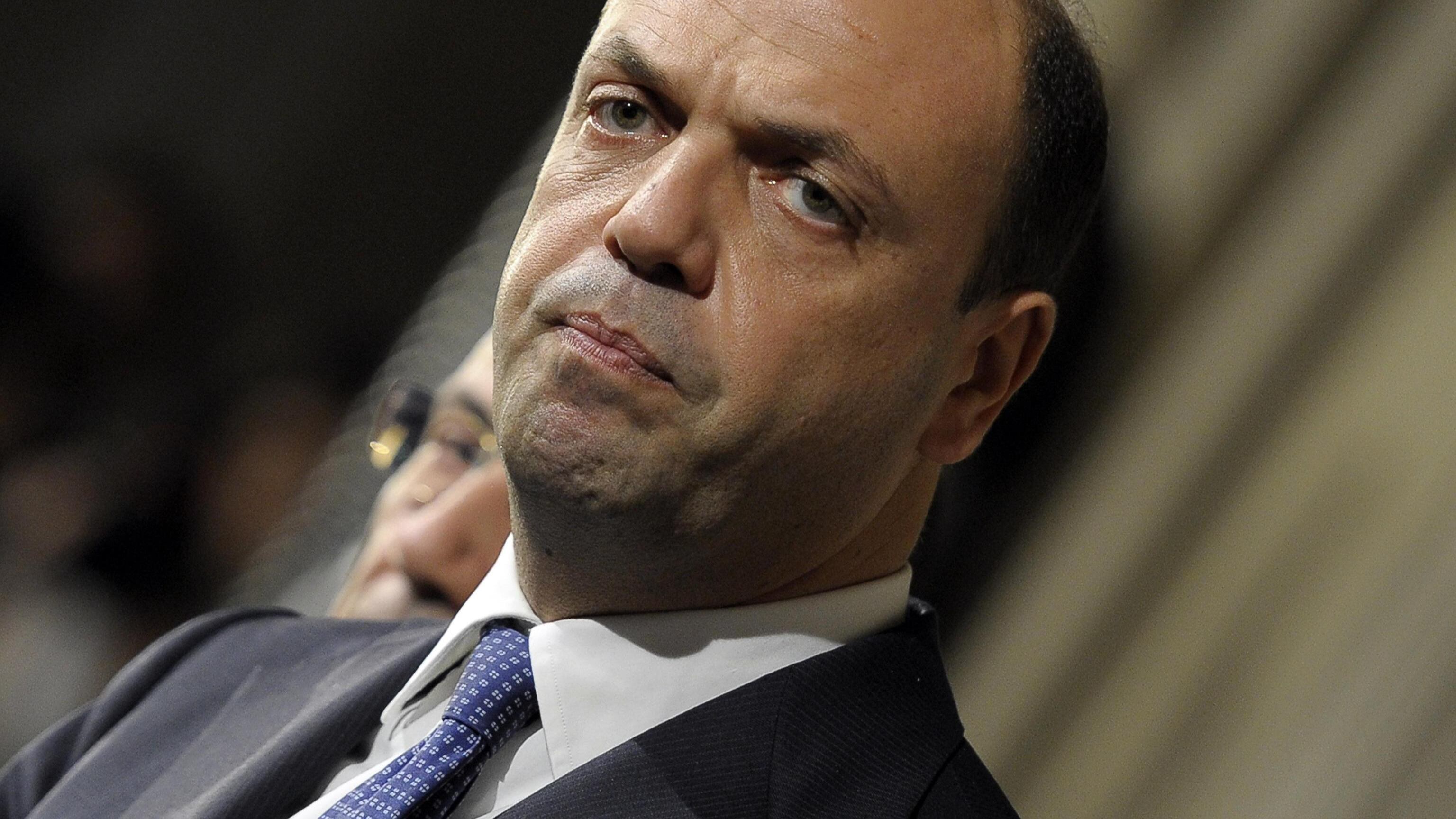 Alfano cinghiale ferito