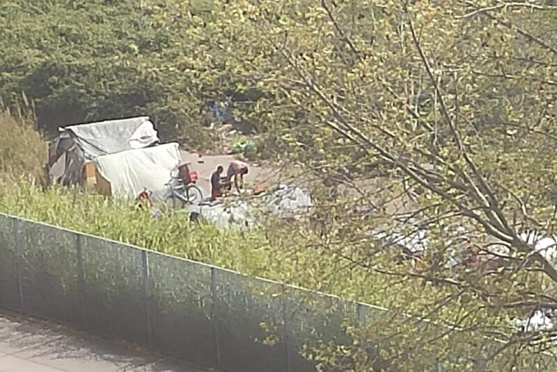 Discariche, roghi tossici e pic-nic: sul Lungotevere di Pietra Papa spunta una nuova favela 5
