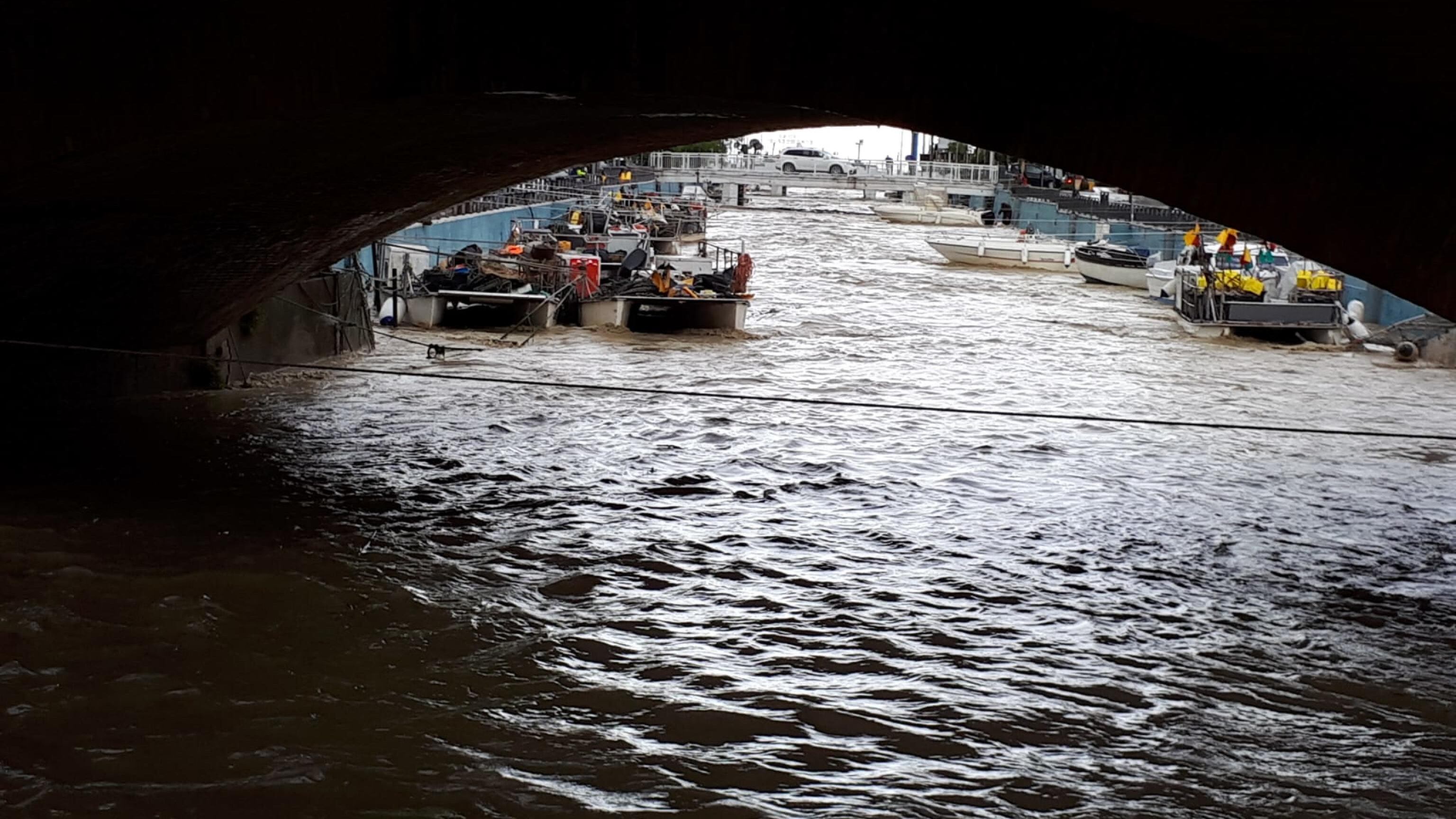 Pioggia e fiumi esondati. L'Emilia finisce allagata. Treni fermi, mille sfollati. "Situazione disastrosa"