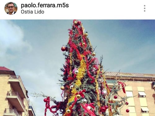Anche l'albero di Ostia viene stroncato: "Sembra coperto di monnezza"