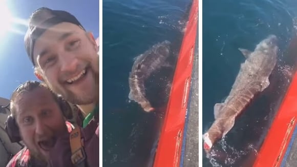 "Buona fortuna col nuoto": i due pescatori tagliano la coda allo squalo