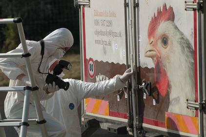 Austria, 71 immigrati morti soffocati in un tir 8
