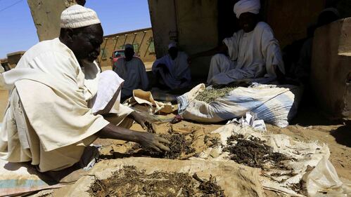 L'industria del tabacco, in Sudan 18