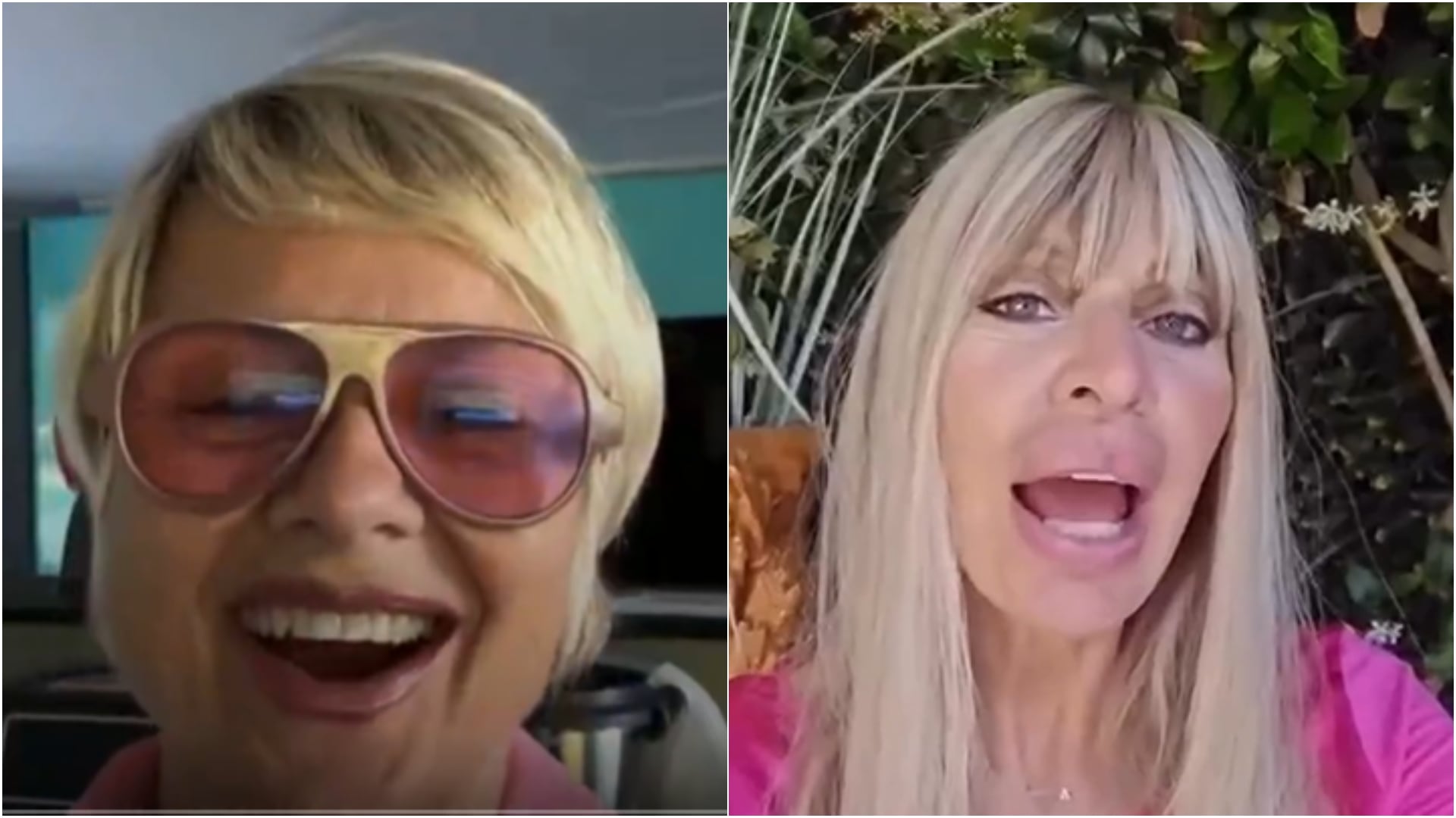 "Sei una rosicona": scontro Antonella Elia e Alessandra Mussolini dopo il GF Vip