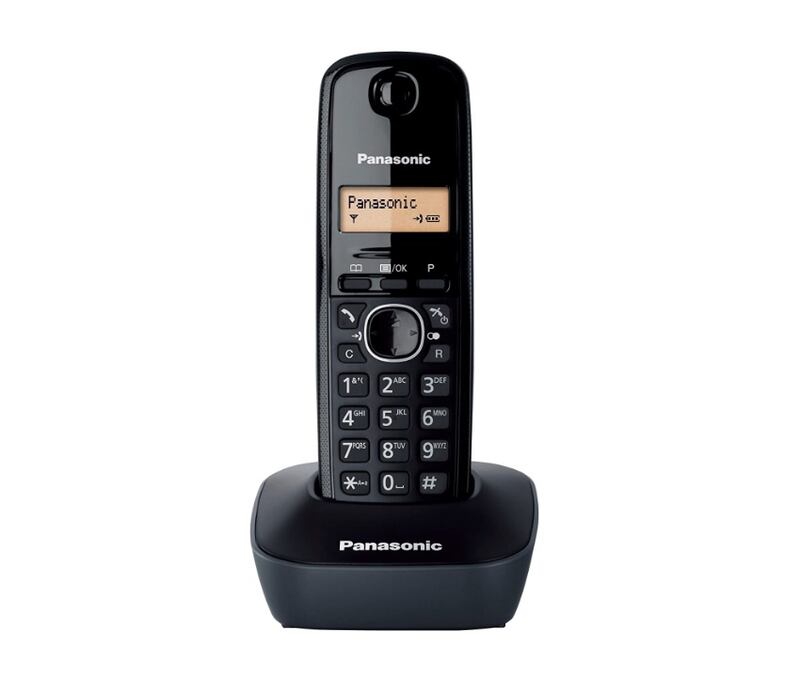 Panasonic
