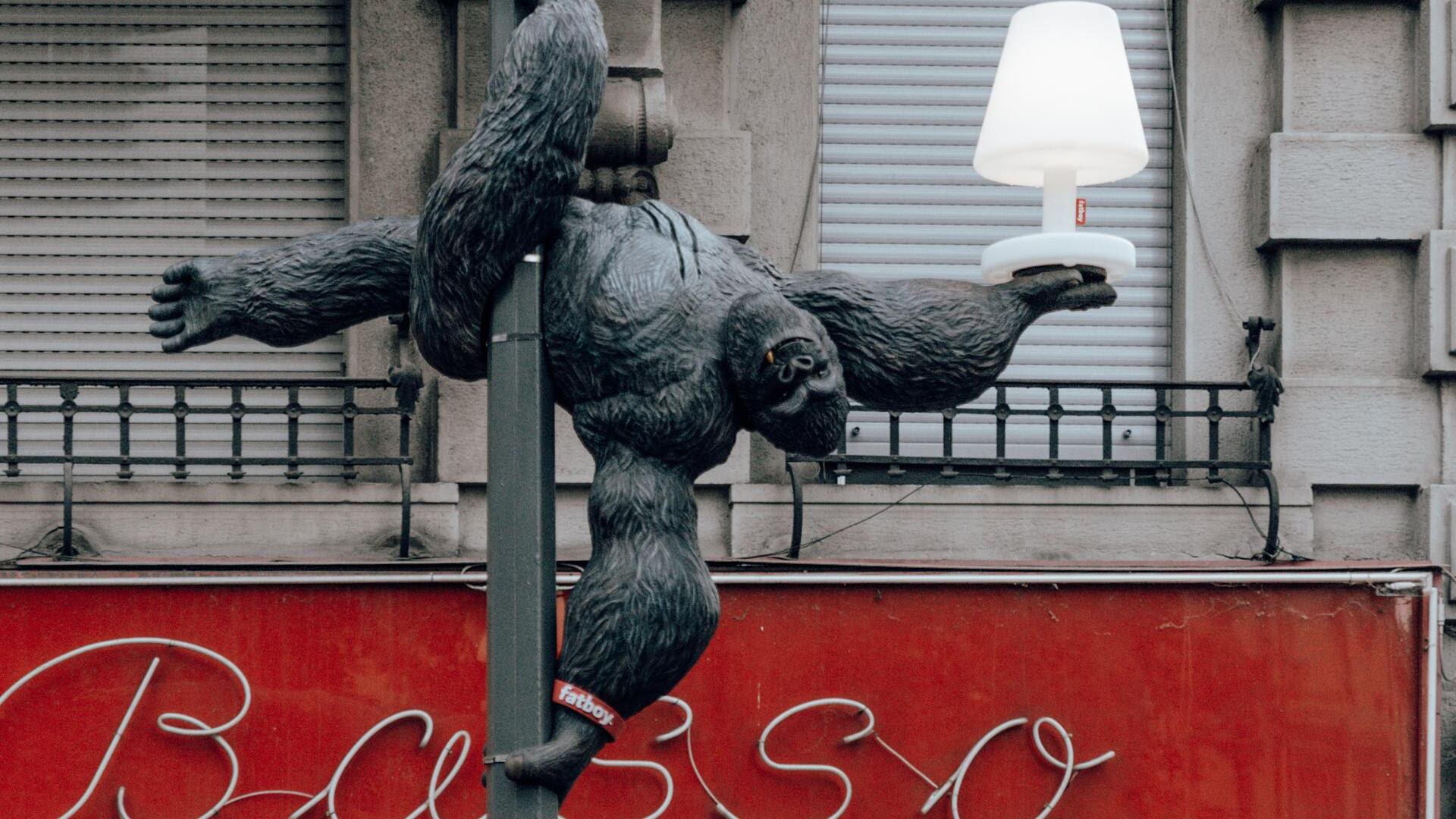 King Kong balla su un palo nel centro di Milano
