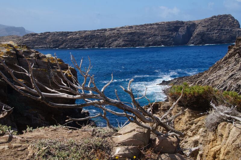 Asinara, mare