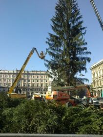 Milano, è arrivato l'abero di Natale in Piazza Duomo 4