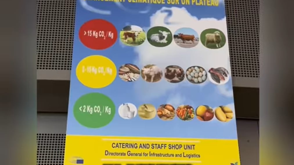 Dieta green al Parlamento Ue: l'ultima eco-follia di Bruxelles