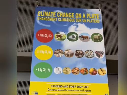 Dieta green al Parlamento Ue: l'ultima eco-follia di Bruxelles
