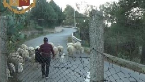 Timbravano il cartellino e portavano le pecore al pascolo