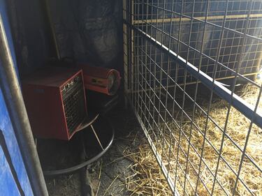 Gli animali del Circo Madagascar 4