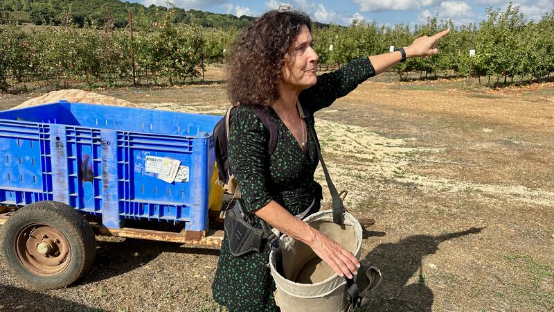 Angelica Calo raccoglie le mele del kibbutz Sassa ad un passo da hezbollha con la pistola alla cintola