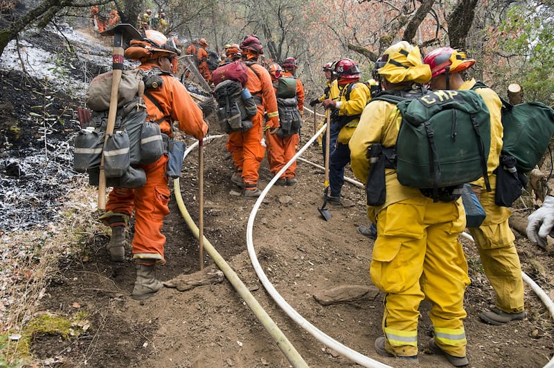 California divorata dalle fiamme. 400 case distrutte 16