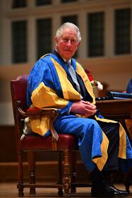 Meghan, Harry, Carlo e Camilla: foto 8