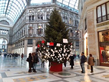 La tradizione si rinnova: l’albero di Natale Rubacchio torna nella Galleria Umberto 2